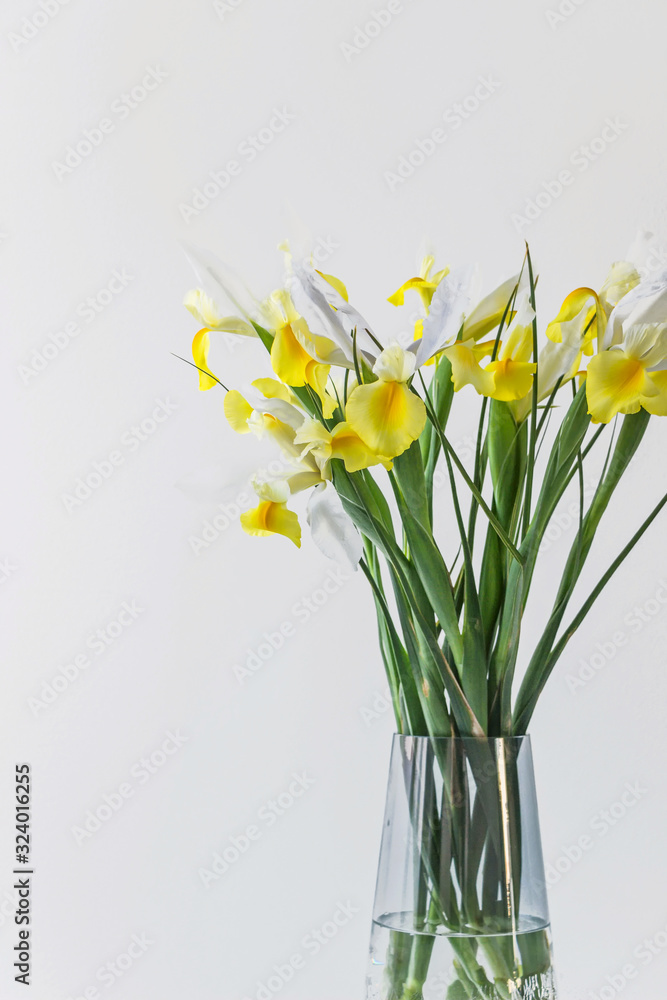 yellow iris flower bouquet in vase with white background yellow iris flower bouquet in vase with white background