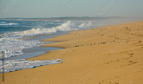 Wave breaking on the sand of the beach