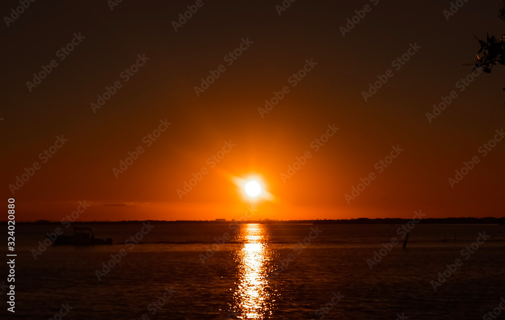 Fototapeta premium OLYMPUS DIGITAL CAMERA