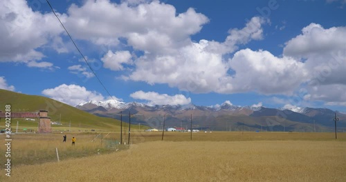 Wallpaper Mural Beautiful nature landscape view of blue sky Qilian fields in Qinghai China Torontodigital.ca