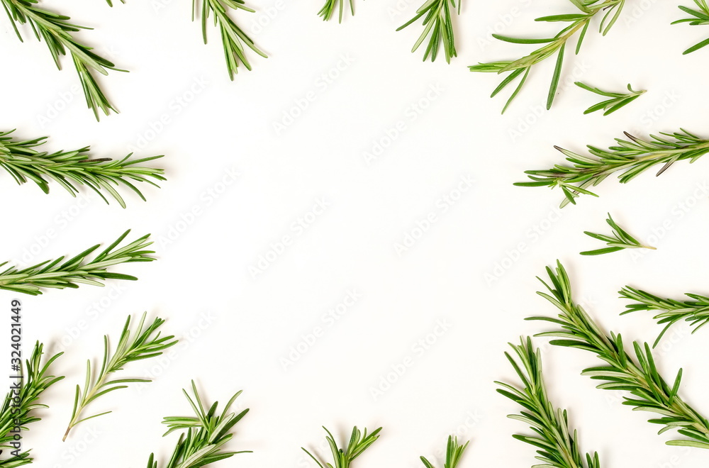 rosemary leaves  frame isolated on white background. copy space. flat lay, top view.