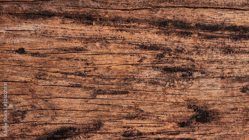 Texture of old plank for rustic theme design element. Texture of old plank for rustic theme design element.