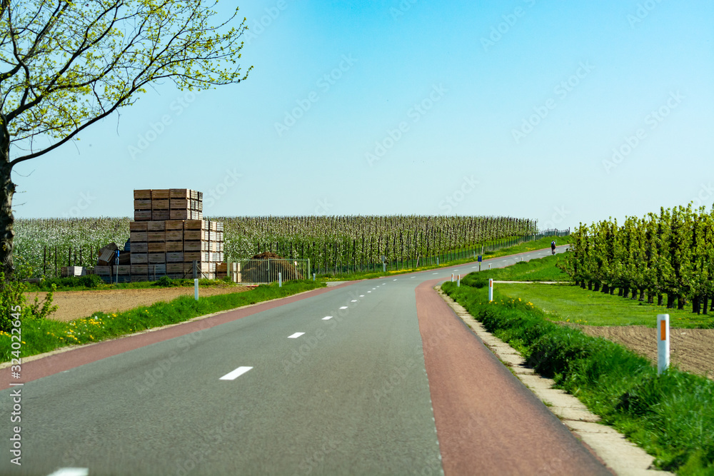 Asphalt road and spring landscape with farmers plowed fields and green grass