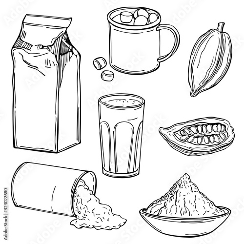 Cocoa powder  and cocoa drink. Vector sketch illustration