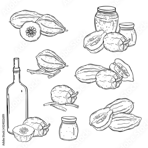 Hand drawn citron set.  Vector sketch illustration