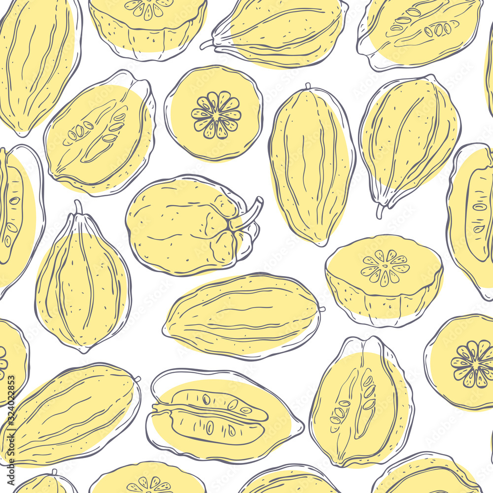 Hand drawn citron. Vector seamless pattern Hand drawn citron. Vector seamless pattern