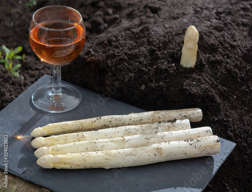 New harvest of white asparagus vegetable plant on farm fields in Netherlands and Germany and glass of rose wine photo