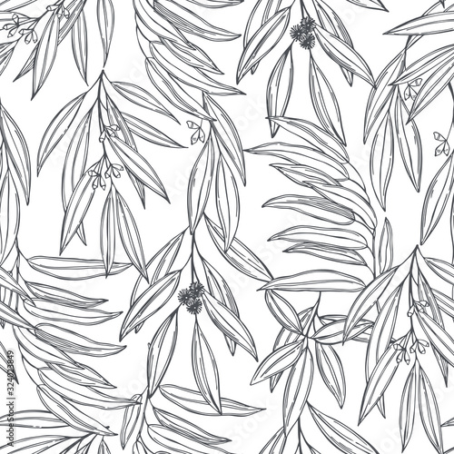 Hand drawn Eucalyptus. Vector  seamless pattern