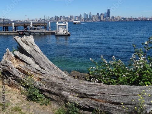 Seattle Skyline in the summer