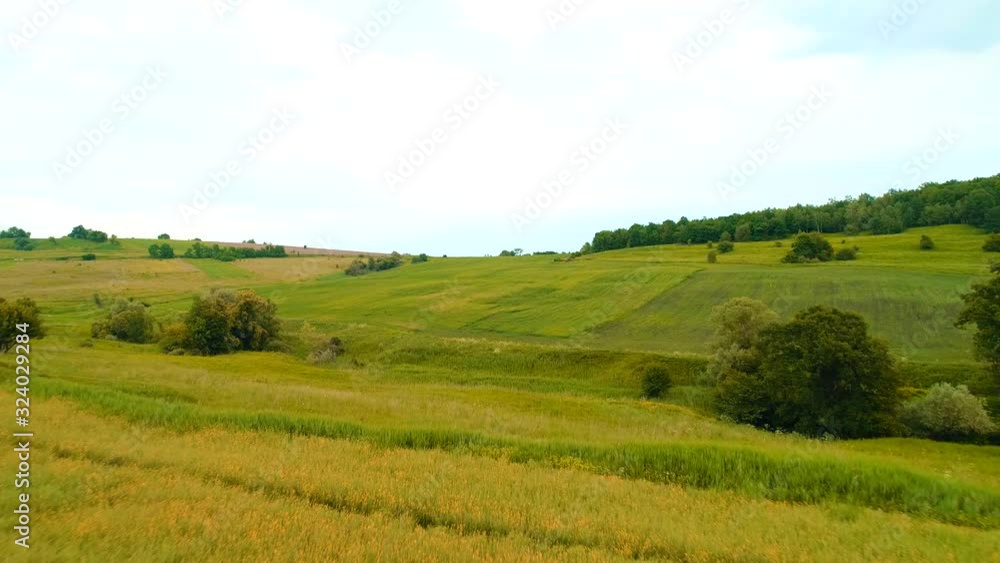 Aerial view of canola and wheat field. Large field of rapeseed blooming, then drone moving to the field with fresh wheat. Aerial view of canola and wheat field. Large field of rapeseed blooming, then drone moving to the field with fresh wheat.