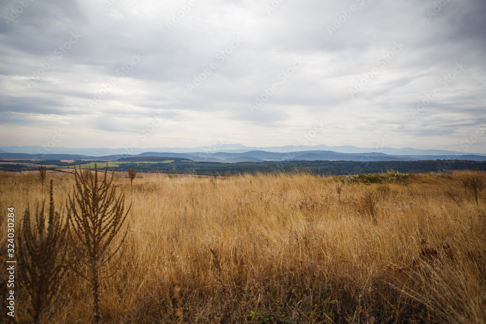 Yellow dried grass on the field against the blue sky and mountains on the horizon. Balkan mountains, a sun-baked field in Bulgaria