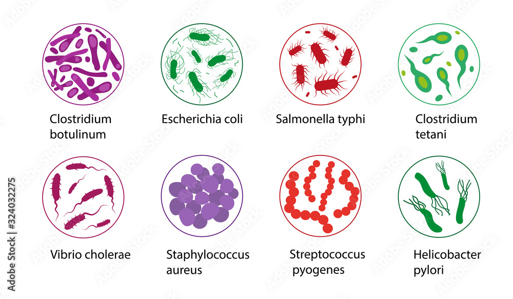 Bad bacteria set isolated on white background. Bad bacteria set isolated on white background.