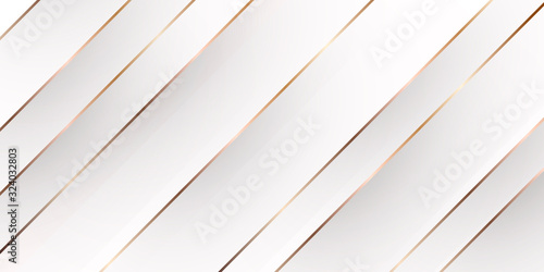 Abstract white gold luxury background. Vector illustration