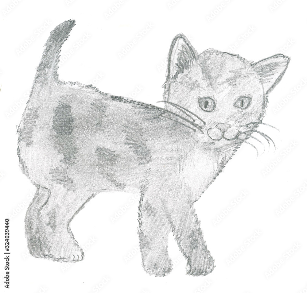 Kot szkic ołówkiem, rysunek dziecka Stock Illustration | Adobe Stock