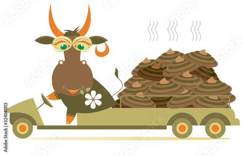 Cow  truck and organic manure illustration. Funny cow with a flower in its mouth drives a truck with a big knot of dung isolated on white
