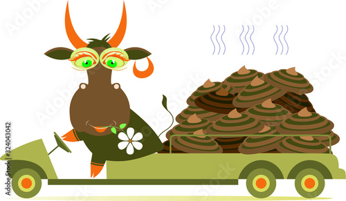 Cow, truck and organic manure illustration. Funny cow with a flower in its mouth drives a truck with a big knot of dung isolated on white