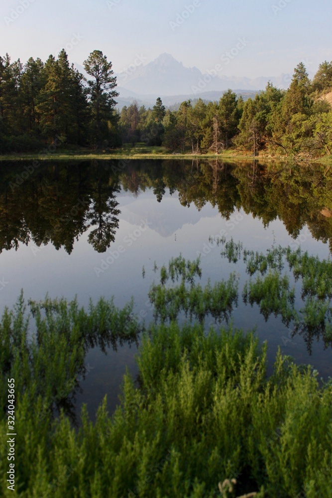 Fototapeta premium Quiet Morning 
