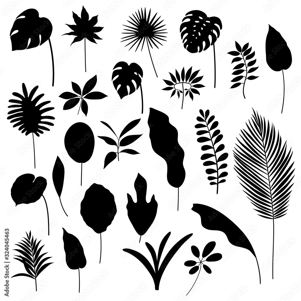 Vector set of black hand-drawn tropical leaves. EPS 10