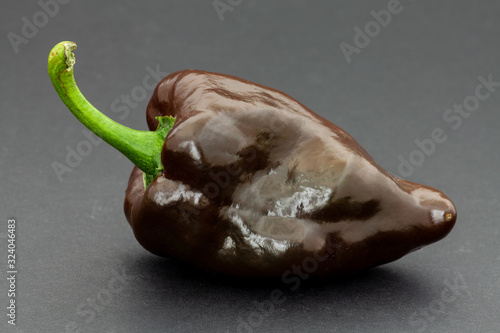 One single ripe brown Mulato Iseno chile pepper on black background. photo