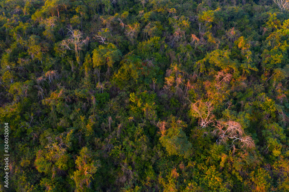 Vallejo Mountain Range Nature Reserve, Sayulita town, Riviera Nayarit, Pacific Ocean, Nayarit State, Mexico, Central America, America