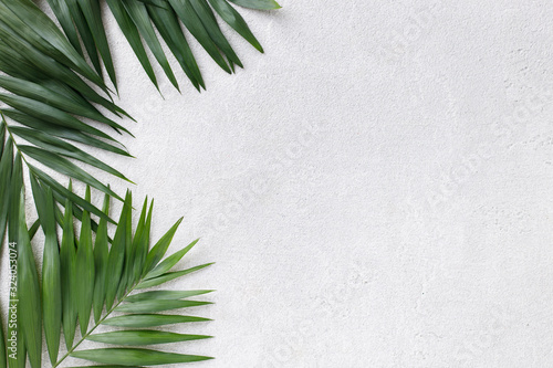 Summer vibes. Vacation, paradise, ocean shore resort, tropical beach travel concept, sea coast. Coconut palm leaves on grey background. Summertime creative layout, copy space © Vadym