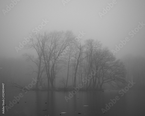 Pond in winter in a foggy forest