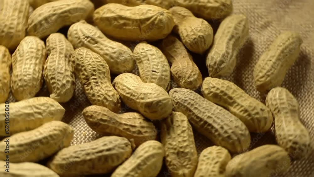 Peanuts in a peel. Peanut nuts macro plan. Organic and vegan and vegetarian lifestyle. Peanuts in a peel. Peanut nuts macro plan. Organic and vegan and vegetarian lifestyle.