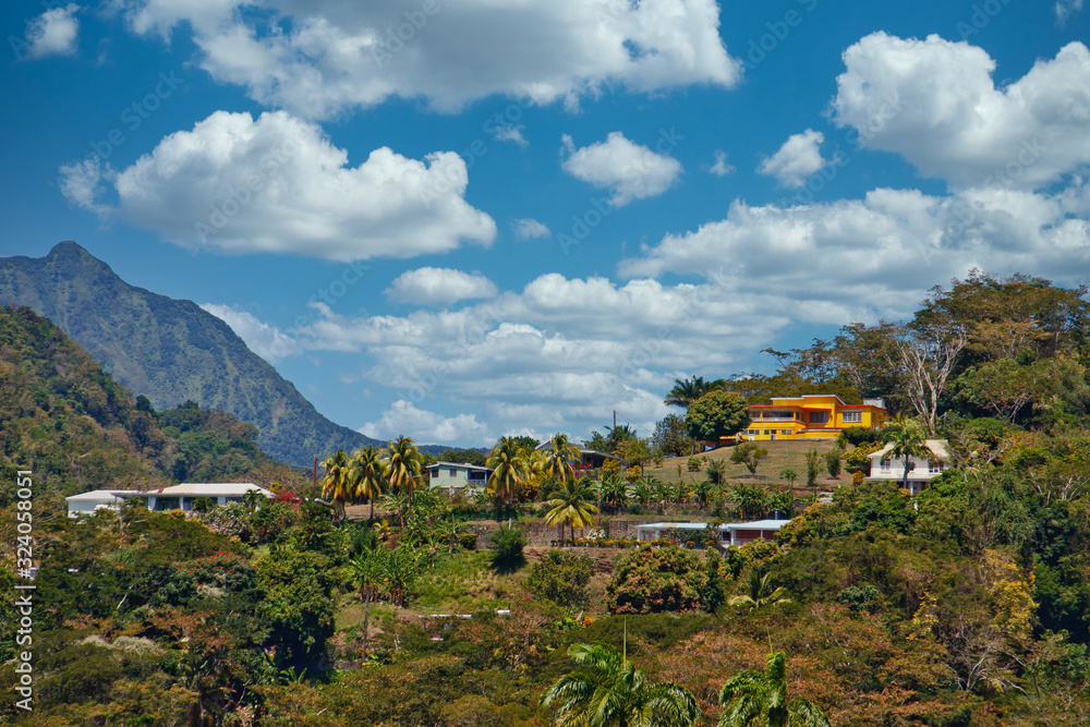 Colorful homes clinging to hills on a tropical island