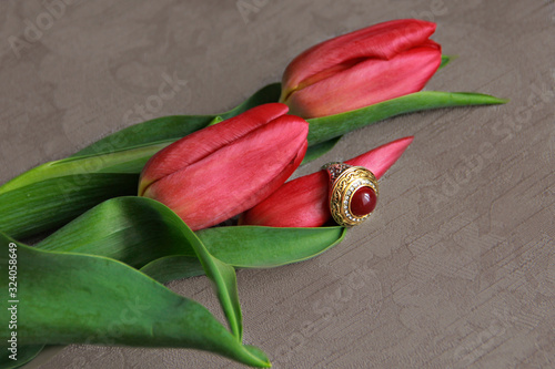 a ring with a red stone is dressed on a red Tulip Bud lying on a brown background