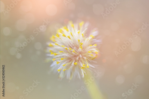 Abstract soft spring background with copy space for text