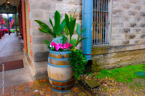 Barrel with tropical flora and old downspout with rain