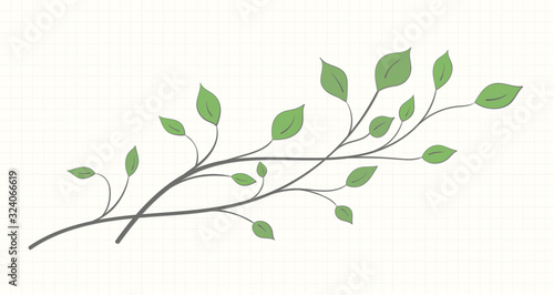 Two branches with green leaves of different shapes on a notebook sheet on a light background