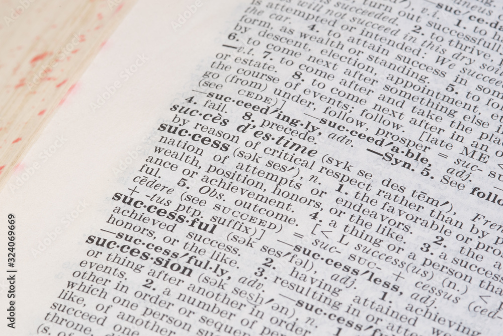 dictionary word success dictionary word success