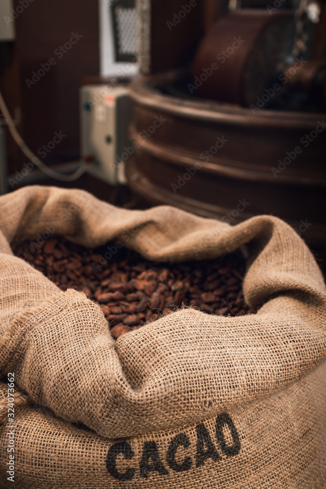 Fototapeta premium Jute bag full of cocoa beans in a chocolate maker workshop, with conching and melanger equipment on the background