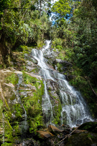 Lots of Vegetation  Plants  Moss on the Rocks at Las Golondrinas Waterfalls in Antioquia  Colombia