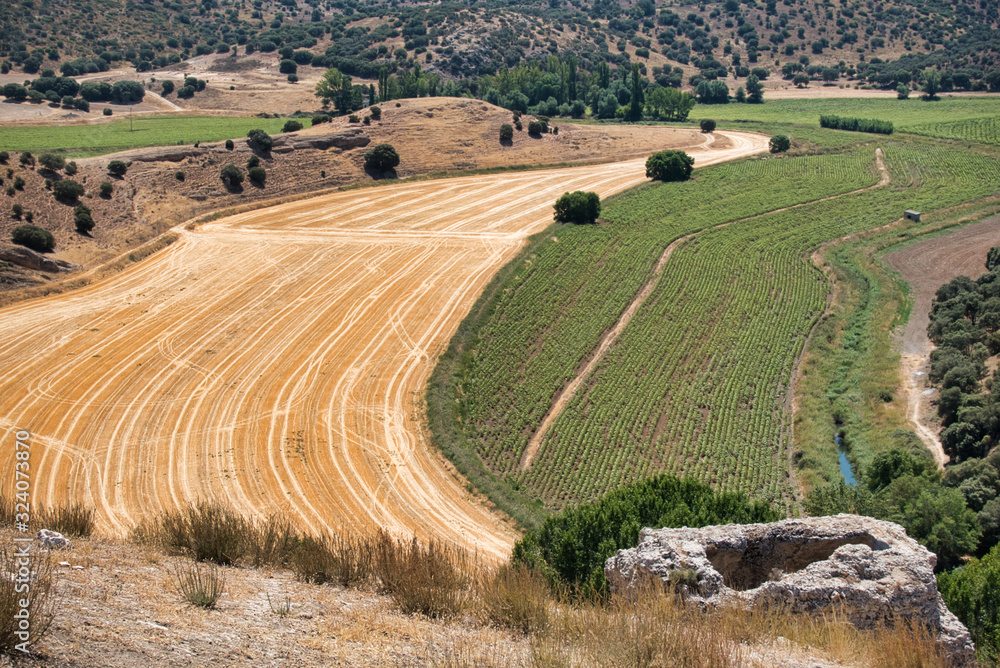 Campos de la serranía de Cuenca Campos de la serranía de Cuenca