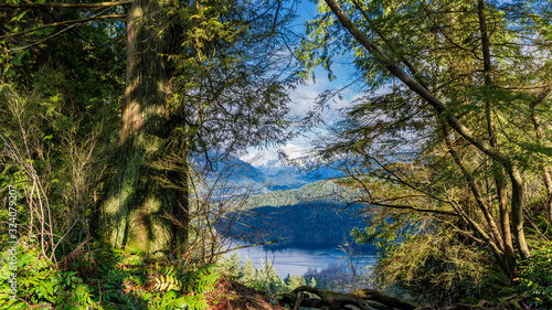 Throuh the trees from TransCanada trail to Burrard Inlet, Indian Arm and North Shore mountains beyond