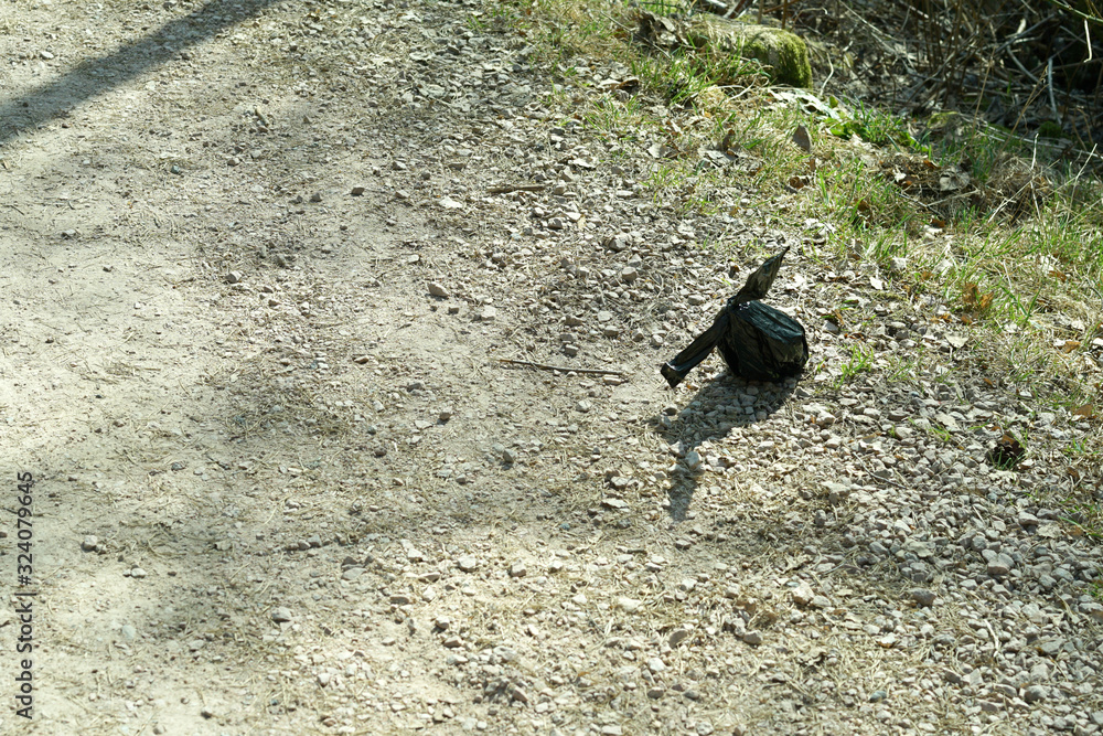 A plastic bag of dog waste is by the side of road. A plastic bag of dog waste is by the side of road.