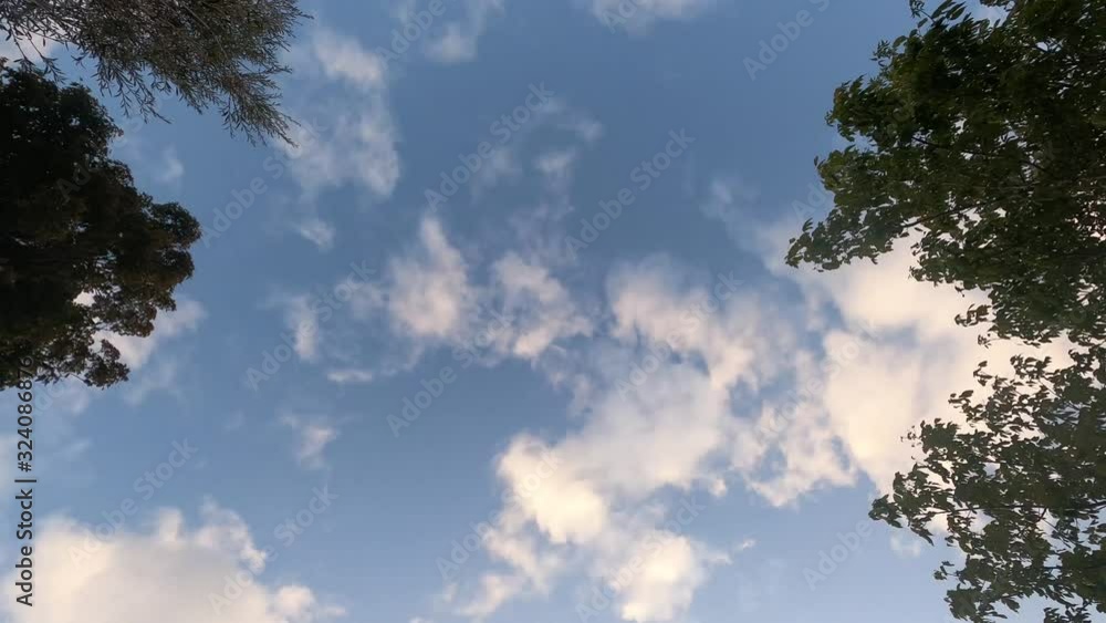 afternoon to night sky timelapse of blue sky with clouds passing by and tree branches moving in the wind progressively turning to dusk and darkness, afternoon to night sky timelapse of blue sky with clouds passing by and tree branches moving in the wind progressively turning to dusk and darkness,
