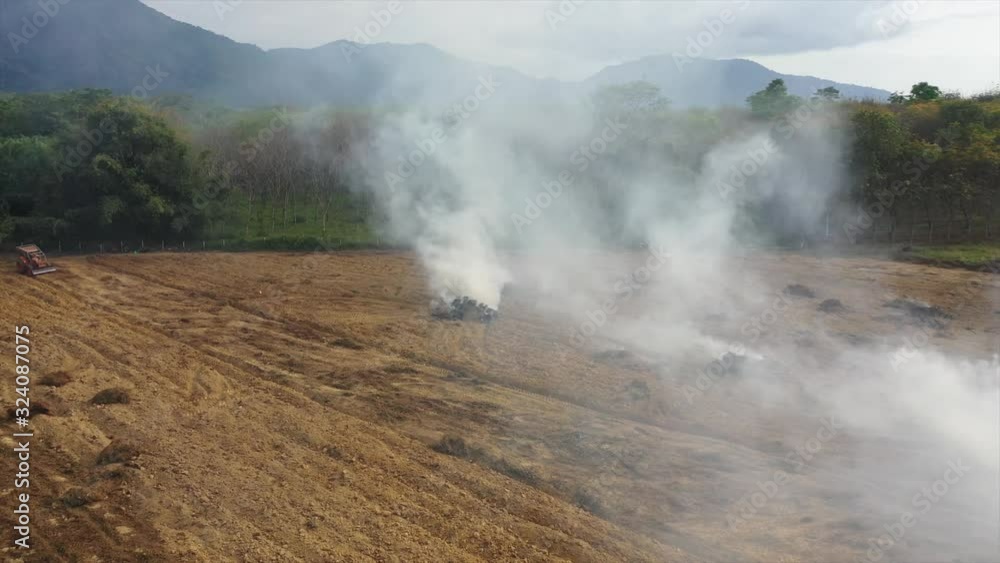 Land clearing and burning, oil palm plantation and rain forest Land clearing and burning, oil palm plantation and rain forest