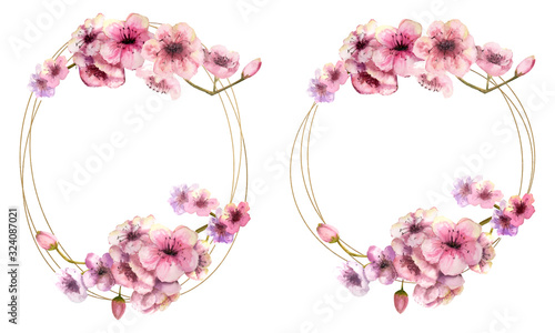 Cherry blossom, a cherry blossom branch with pink flowers in a Golden round and oval frame on a white isolated background. Image of spring. Frame. Watercolor illustration. Design element