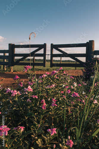 wooden gate in a farm © Emely