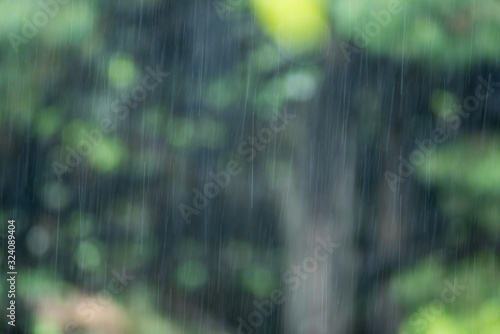 雨