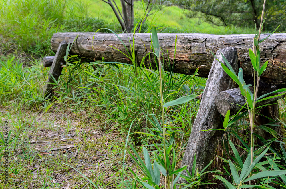 丸太のベンチ
