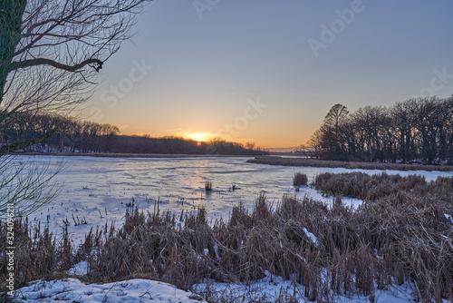 Frozen Lake Scene with cattails in foreground, cattails and trees in the middle ground, and sunset in background