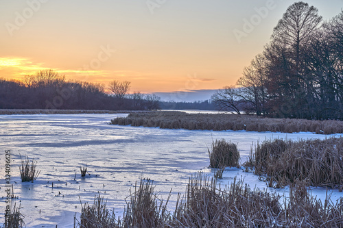 Frozen Lake Scene with cattails in foreground, cattails and trees in the middle ground, and sunset in background