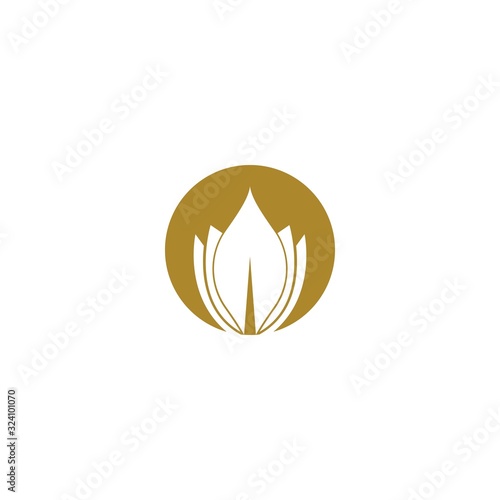 Flower logo vector icon design