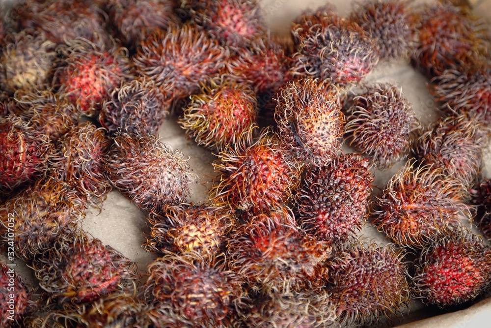 Fototapeta premium Lychee
