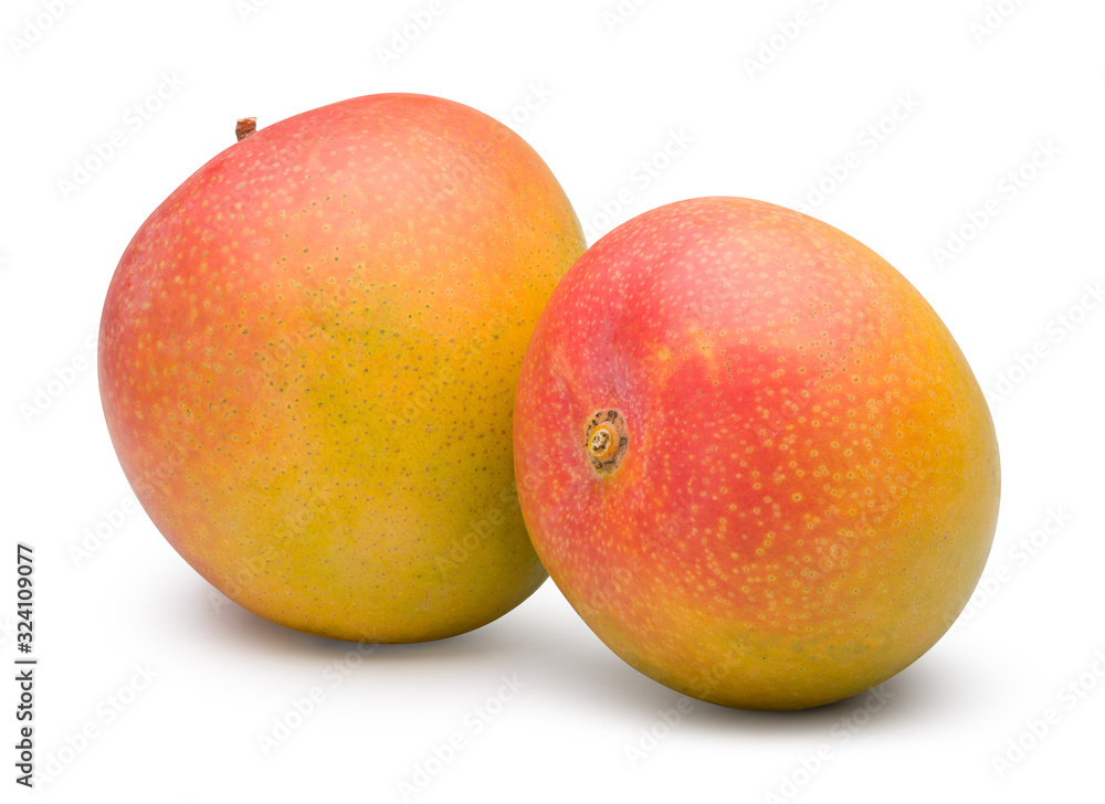 Two ripe mangoes isolated on white with clipping path. Two ripe mangoes isolated on white with clipping path.