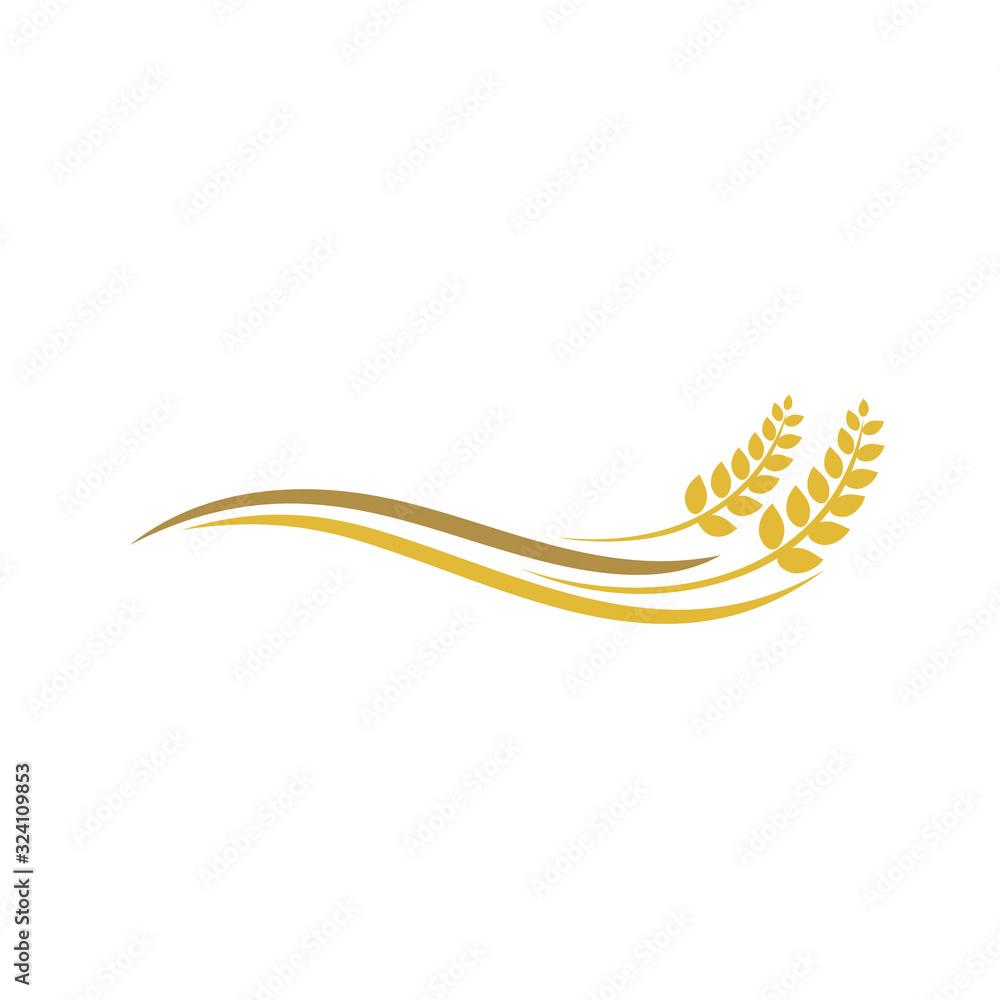 Obraz premium Wheat rice agriculture logo, Wheat grain, Wheat Nutrition, Wheat rice agriculture logo Inspiration vector